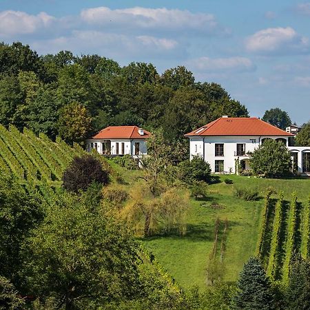 Ferienwohnung Weingut Hirschmugl - Domaene am Seggauberg Leibnitz Exterior foto