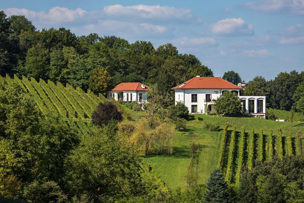 Ferienwohnung Weingut Hirschmugl - Domaene am Seggauberg Leibnitz Exterior foto