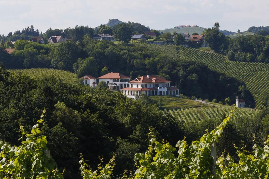 Ferienwohnung Weingut Hirschmugl - Domaene am Seggauberg Leibnitz Exterior foto